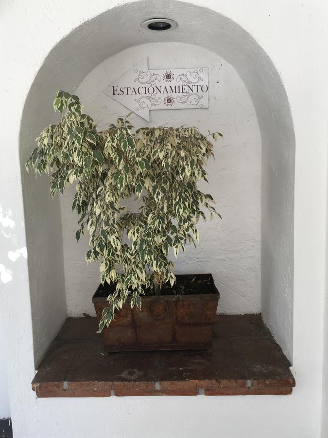 Hotel Calli Quetzalcoatl Cholula Dış mekan fotoğraf
